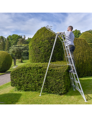 Ideal For Landscape Gardening 1.2m 4.8m Workware Aluminium Tripod Ladders 