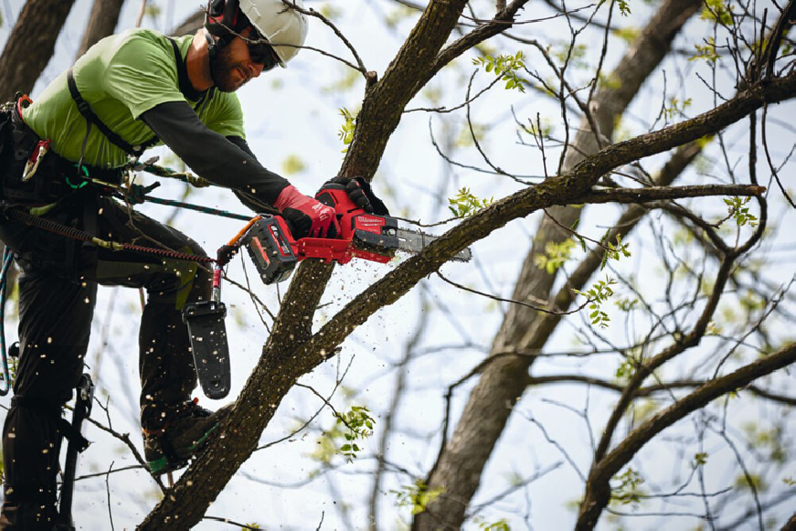 Milwaukee M18 FUEL™ HATCHET™ Pruning Saw 20CM KIT 4933480119