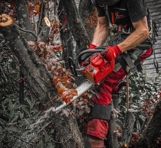 Milwaukee M18 Fuel Top Handle Chainsaw Bare  - 4933479586